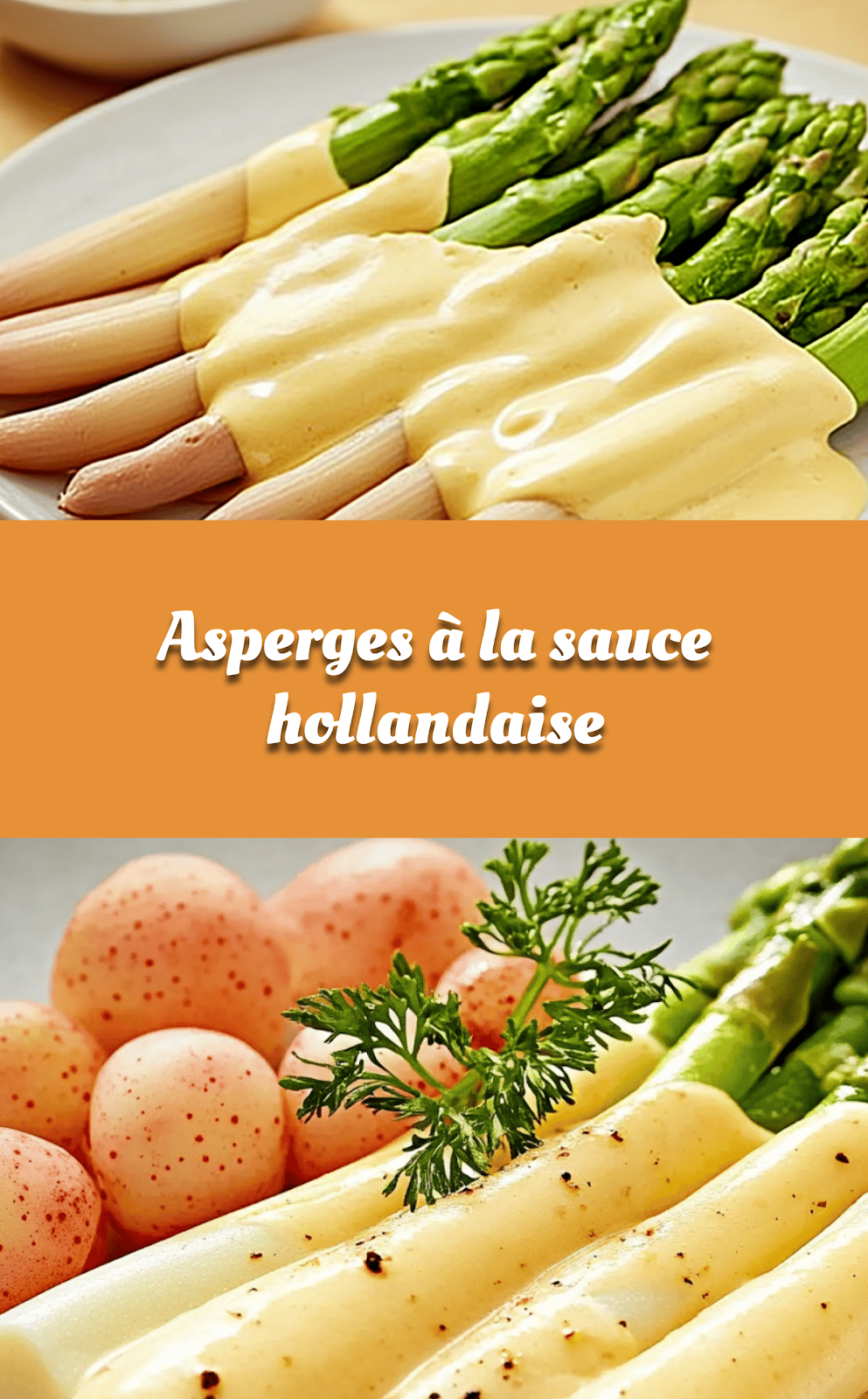 Asperges à la sauce hollandaise