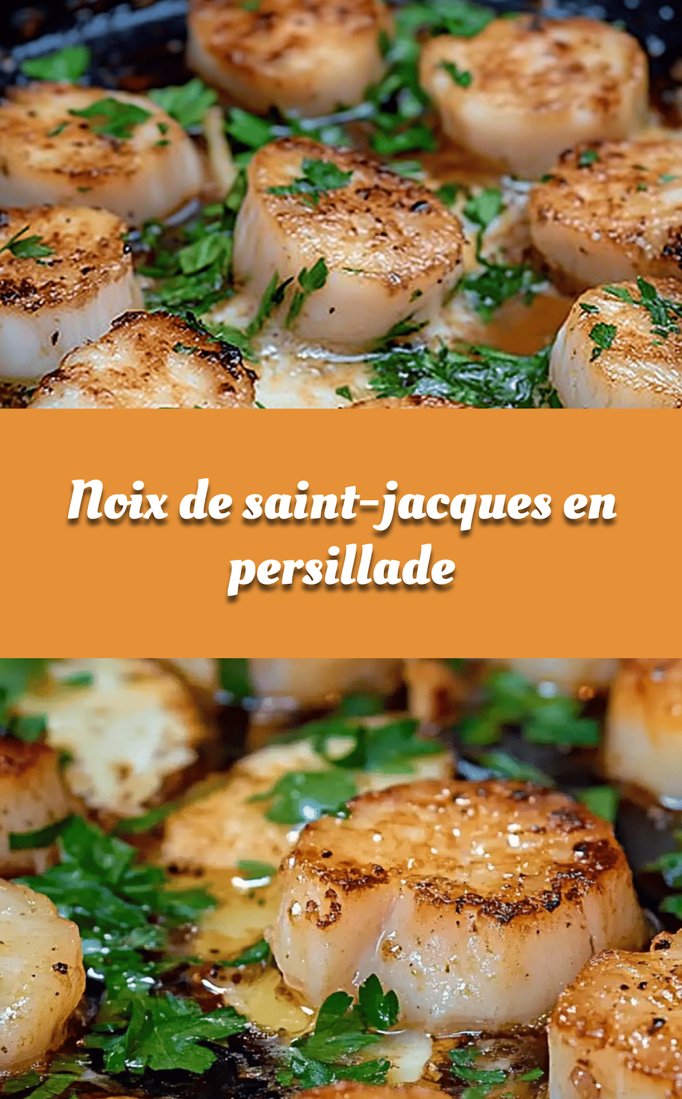 Noix de saint-jacques en persillade