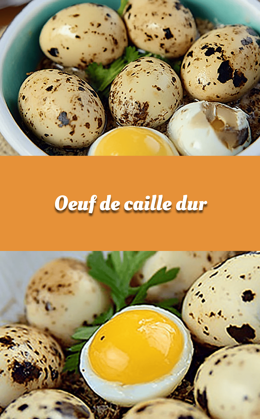 Oeuf de caille dur