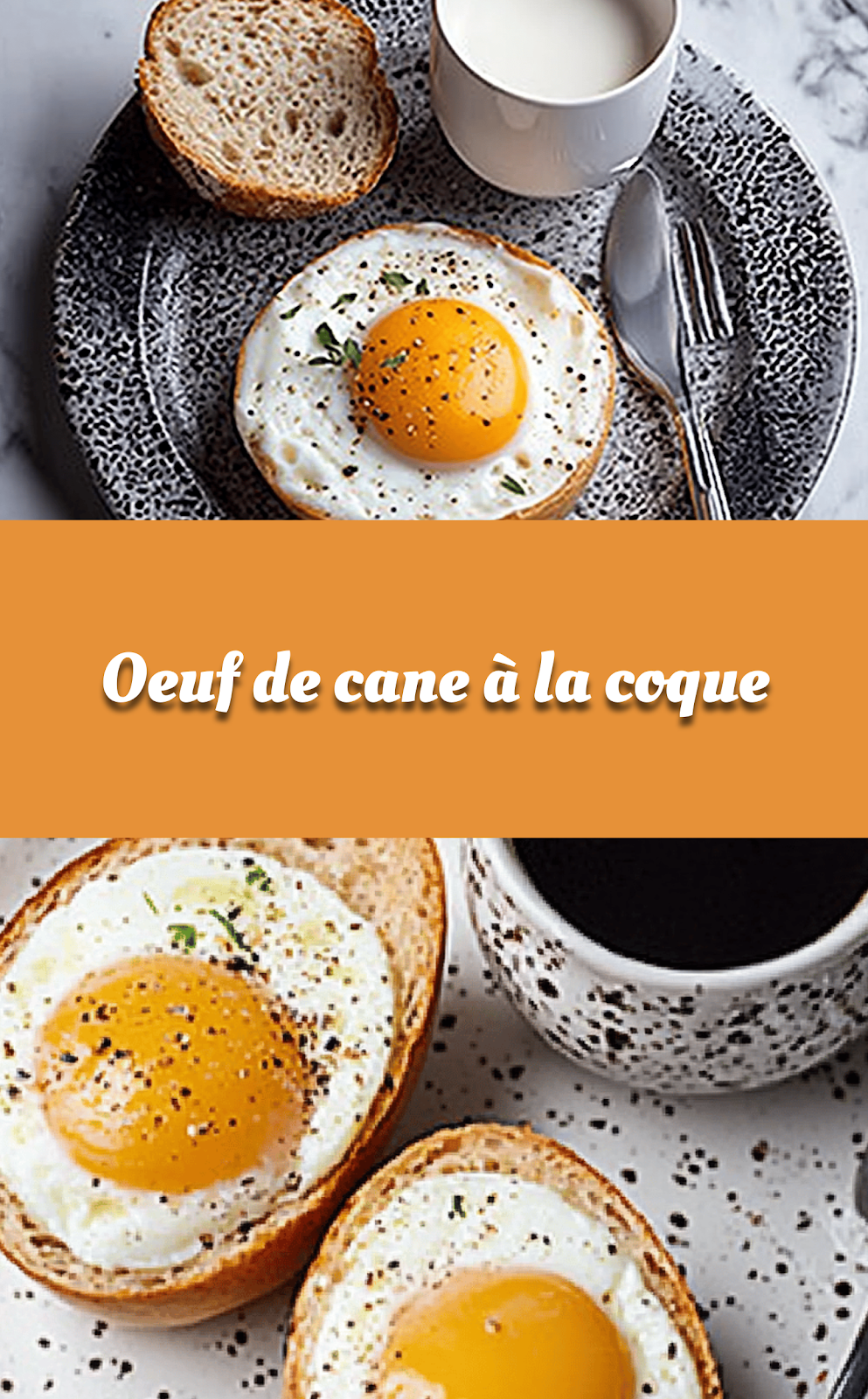 Oeuf de cane à la coque