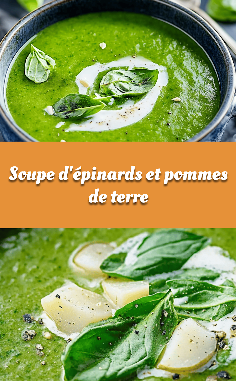 Soupe d'épinards et pommes de terre
