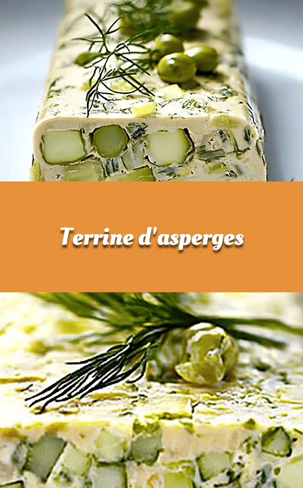 Terrine d'asperges