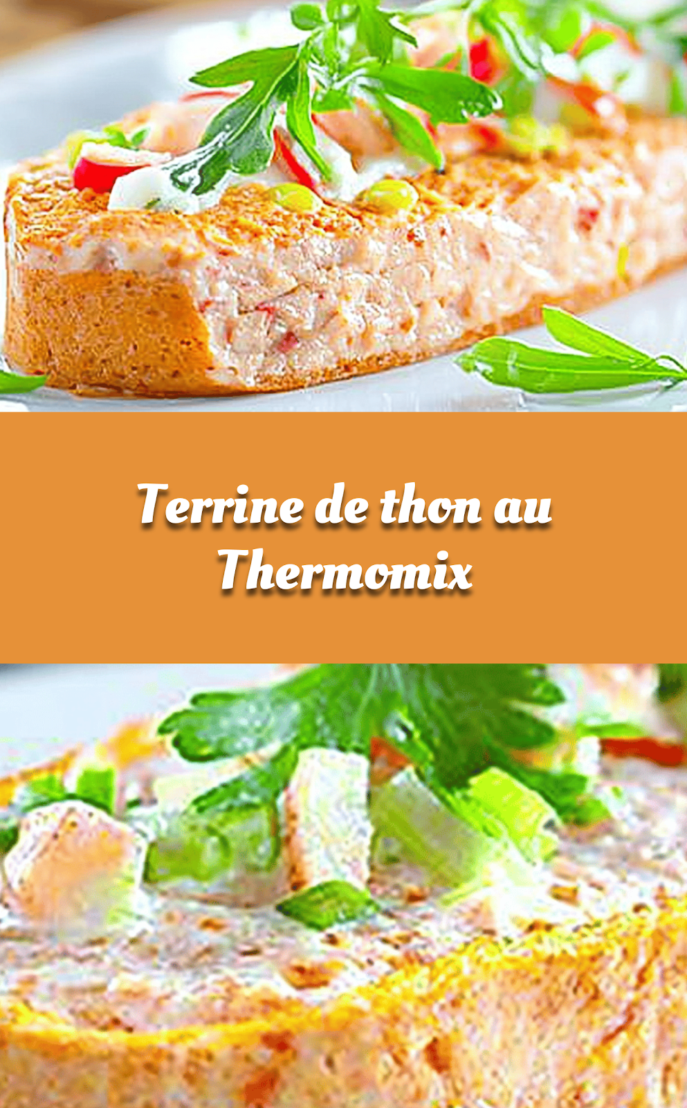 Terrine de thon au Thermomix